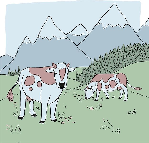 Illustration von zwei Kühen, die auf einer Wiese mit Bergen und Kiefern im Hintergrund unter einem klaren Himmel grasen.