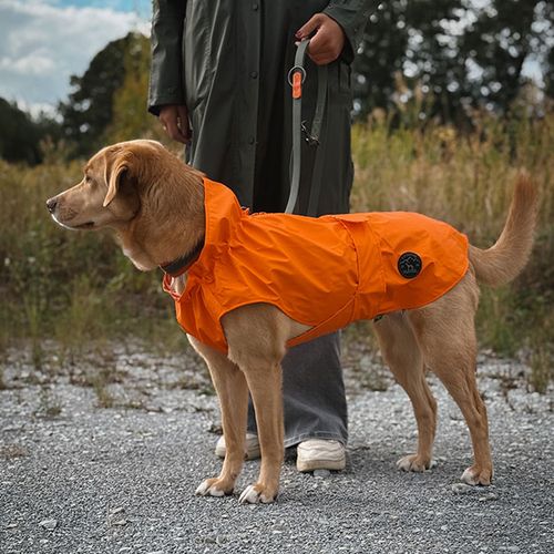 Ein Hund mit einem orangefarbenen Regenmantel steht auf Kies und wird von einer Person in einem grünen Mantel festgehalten. Im Hintergrund sind eine Wiese und Bäume zu sehen.