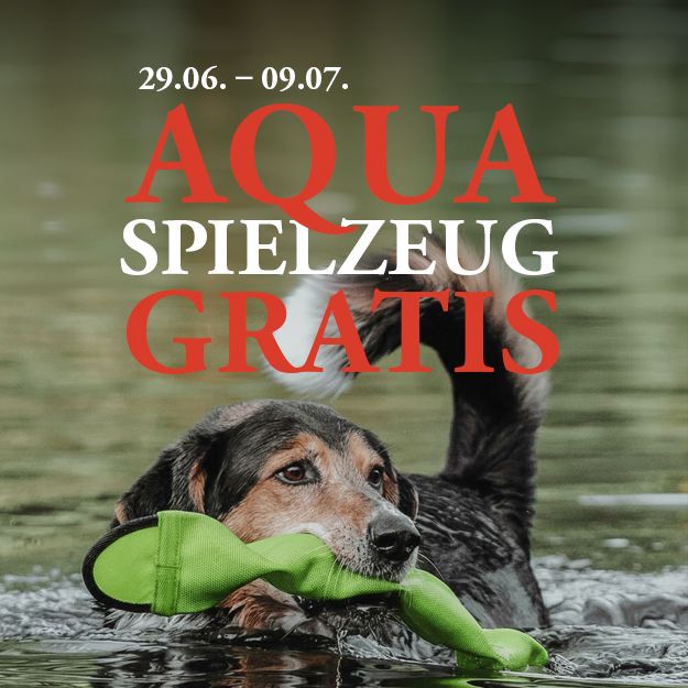 Hund, der mit einem grünen Spielzeug schwimmt; Textüberlagerung: „29.06. – 09.07. AQUA SPIELZEUG GRATIS“ in roten und weißen Buchstaben.