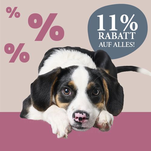 Süßer Welpe mit neugierigem Blick, umgeben von Prozentzeichen. Der Text lautet „11 % Rabatt auf alles!“ auf einem rosa-beigen Hintergrund.