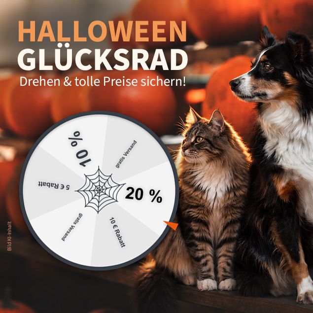 Eine Katze und ein Hund sitzen gemeinsam vor Kürbissen, neben denen ein Preisrad im Halloween-Stil steht, das Rabatte bietet.