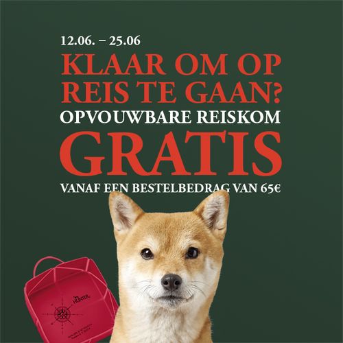 Actieafbeelding met rood-witte tekst: “12.06 - 25.06. KLAAR OM OP REIS TE GAAN? OPVOUWBARE REISKOM GRATIS VANAF EEN BESTELBEDRAG VAN 65€” Op de voorgrond is een hondenkop te zien die naar de camera kijkt, met daarnaast een rode reisvoerbak.