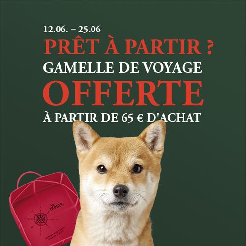 Image promotionnelle avec le texte « 12.06. - 25.06. PRÊT À PARTIR ? GAMELLE DE VOYAGE OFFERTE À PARTIR DE 65 € D'ACHAT » en lettres rouges et blanches. Au premier plan, on voit la tête d'un chien qui regarde l'appareil photo, avec à côté une gamelle de voyage rouge.