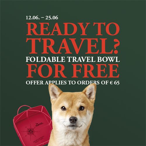 Promotional image with red and white text reading ‘12.06. - 25.06. READY TO TRAVEL? FOLDABLE TRAVEL BOWL FOR FREE OFFER APPLIE TO ORDERS OF €65’. In the foreground is a dog's head looking at the camera, with a red travel bowl next to it.