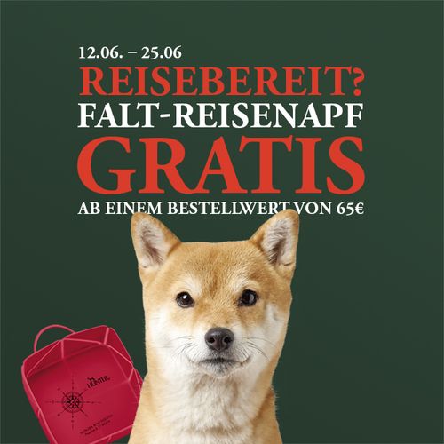 Aktionsbild mit rot weiße Schrift "12.06. - 25.06. REISEBEREIT? FALT-REISENAPF GRATIS AB EINEM BESTELLWERT VON 65€" Im Vordergrund ist ein Hundekopf der in die Kamera schaut und daneben ein roter Reisenapf.