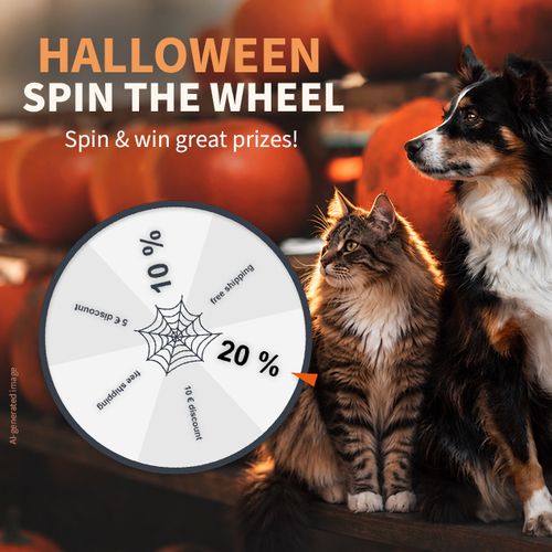 A cat and a dog sitting together in front of pumpkins with a Halloween-themed prize wheel offering discounts.