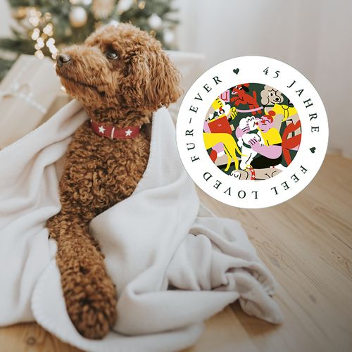 Ein brauner Pudel, eingewickelt in eine weiße Decke, sitzt neben einem Weihnachtsbaum. Rechts davon befindet sich eine kreisförmige Grafik mit bunten Illustrationen und Text.