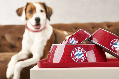 Bayern munich hot sale dog jersey