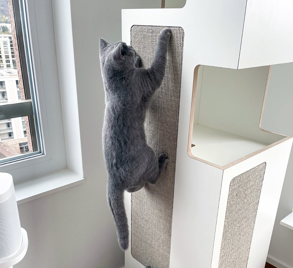Design Kratzbume und modernes Katzenzubehr | stylecats