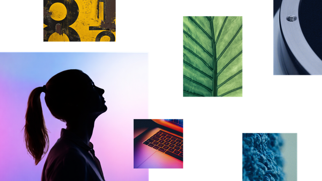 A collage with different images and the silhouette of a woman