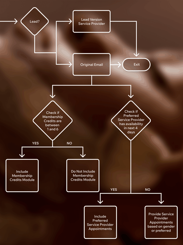 Flowchart with decision points for lead processing, checking membership credits, and scheduling service provider appointments based on criteria.