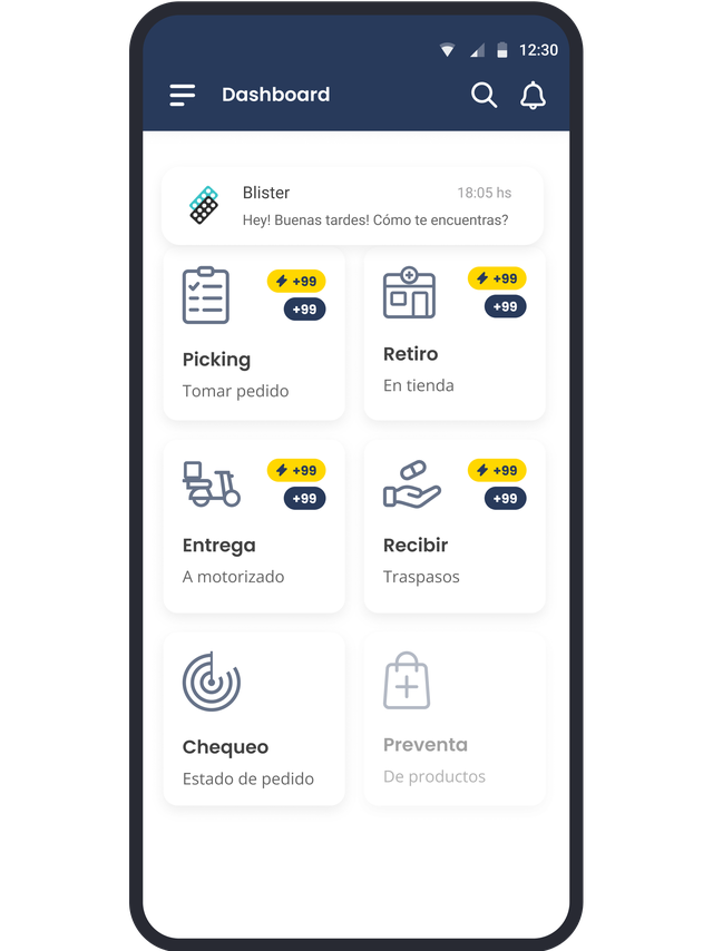 FEMSA Project Overview