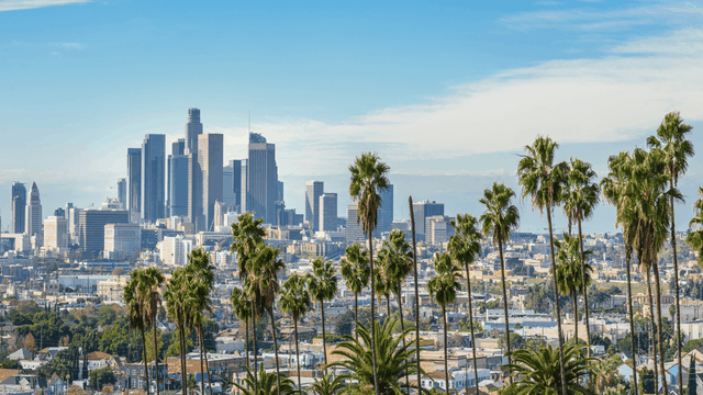 View of downtown Los Angeles with palm trees in the foreground.