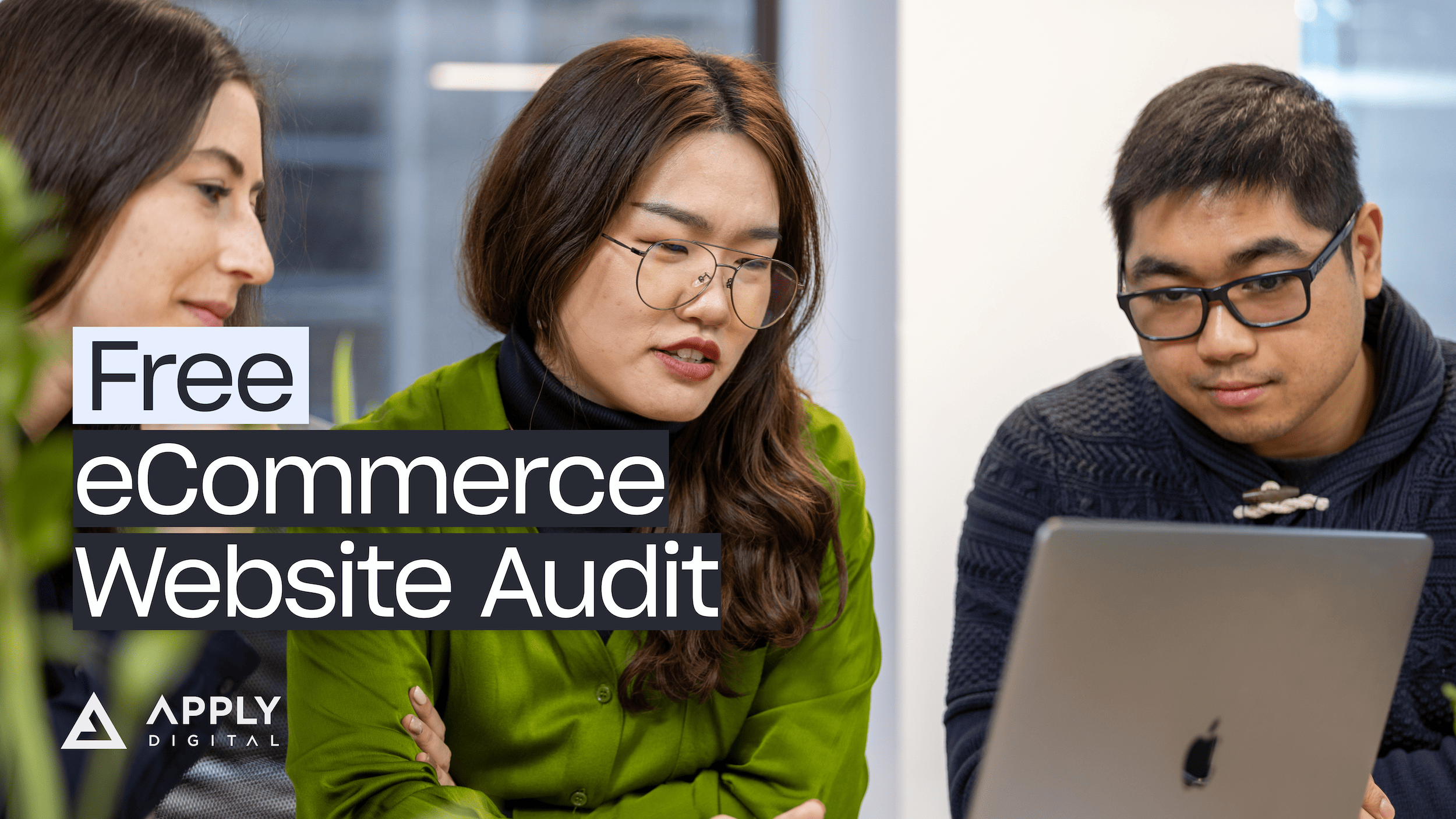 Free Website Audit