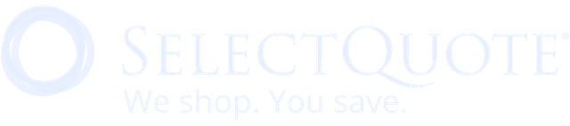 SelectQuote Logo in Blue