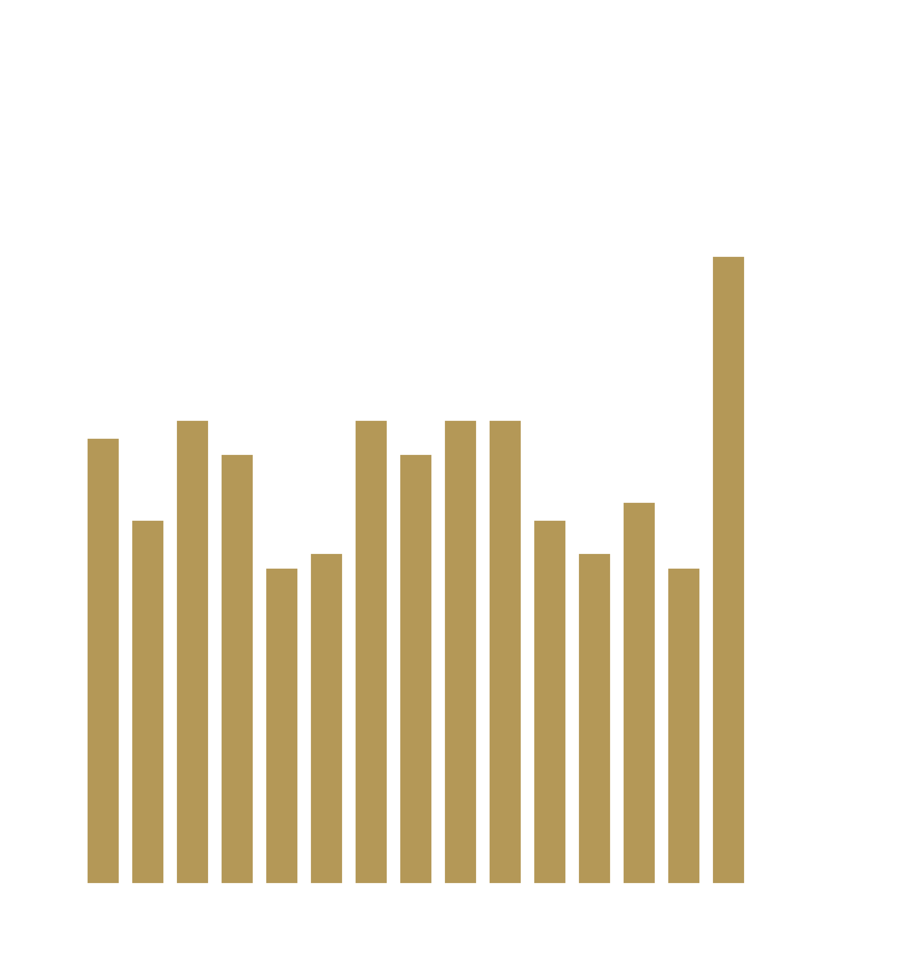 Private Markets Outlook for 2026 - chart English