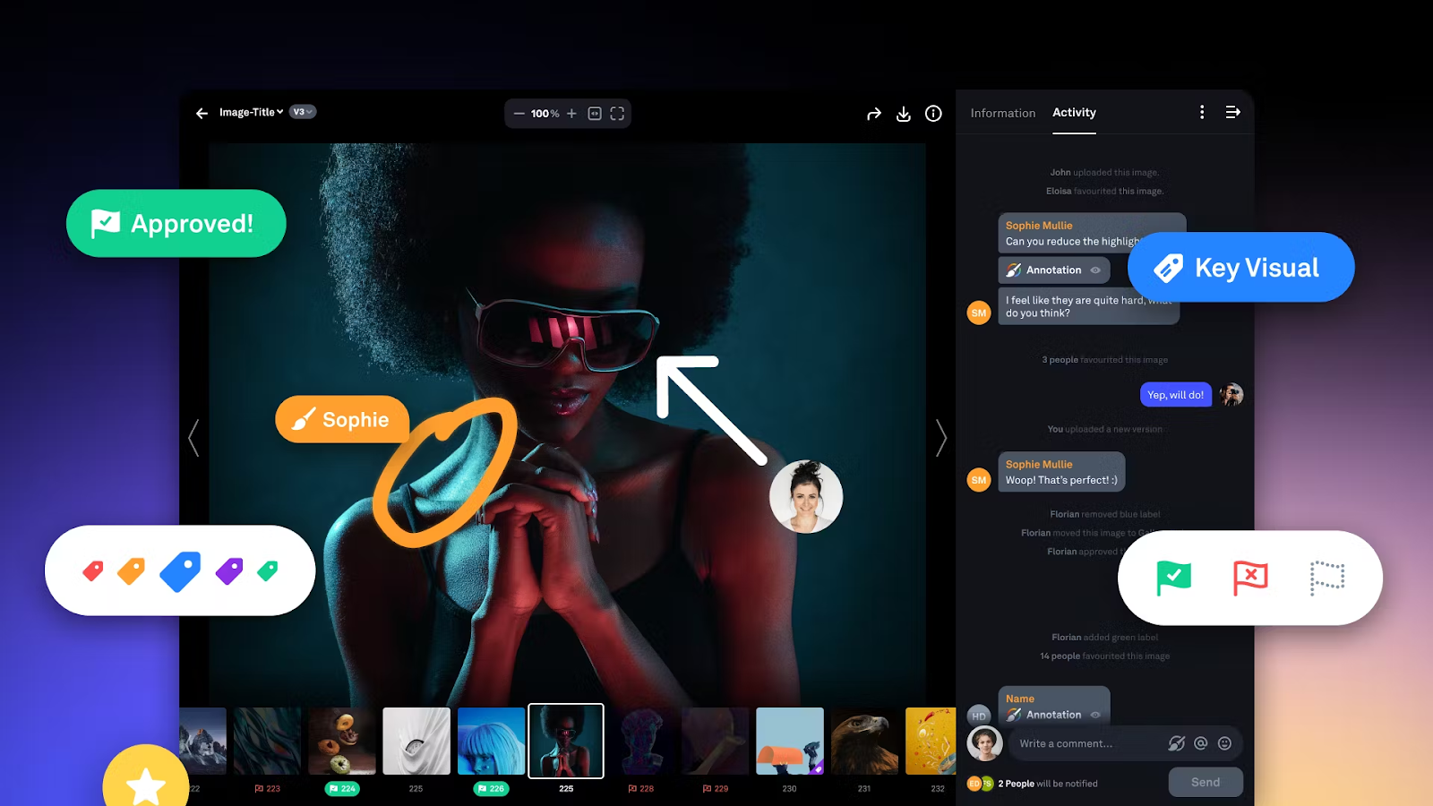 competitor alternatives picflow