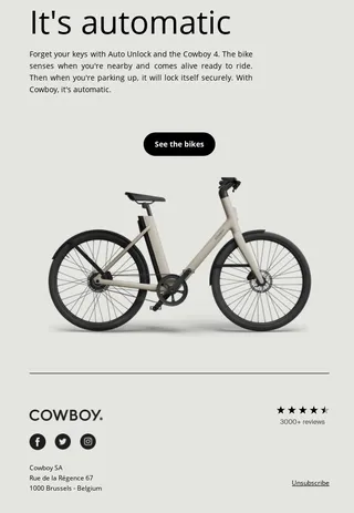 Example of Minimalist Email Design by brand Cowboy