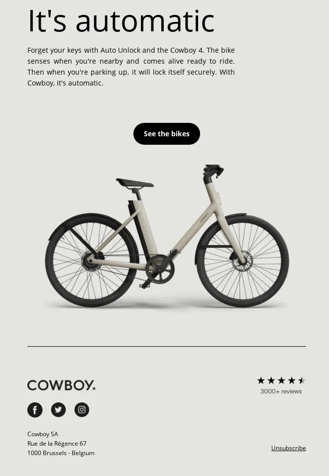 Example of Minimalist Email Design by brand Cowboy