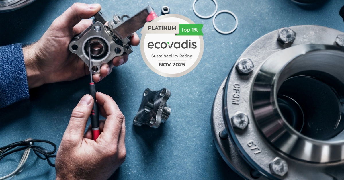 Fagerberg Ecovadis platinum