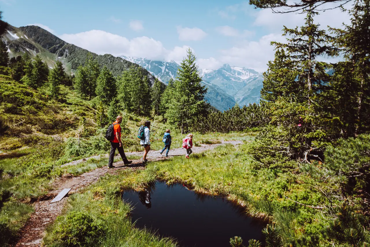 Wandelroutes voor jong en oud: ontdek ze vanaf jouw vakantiehuis
