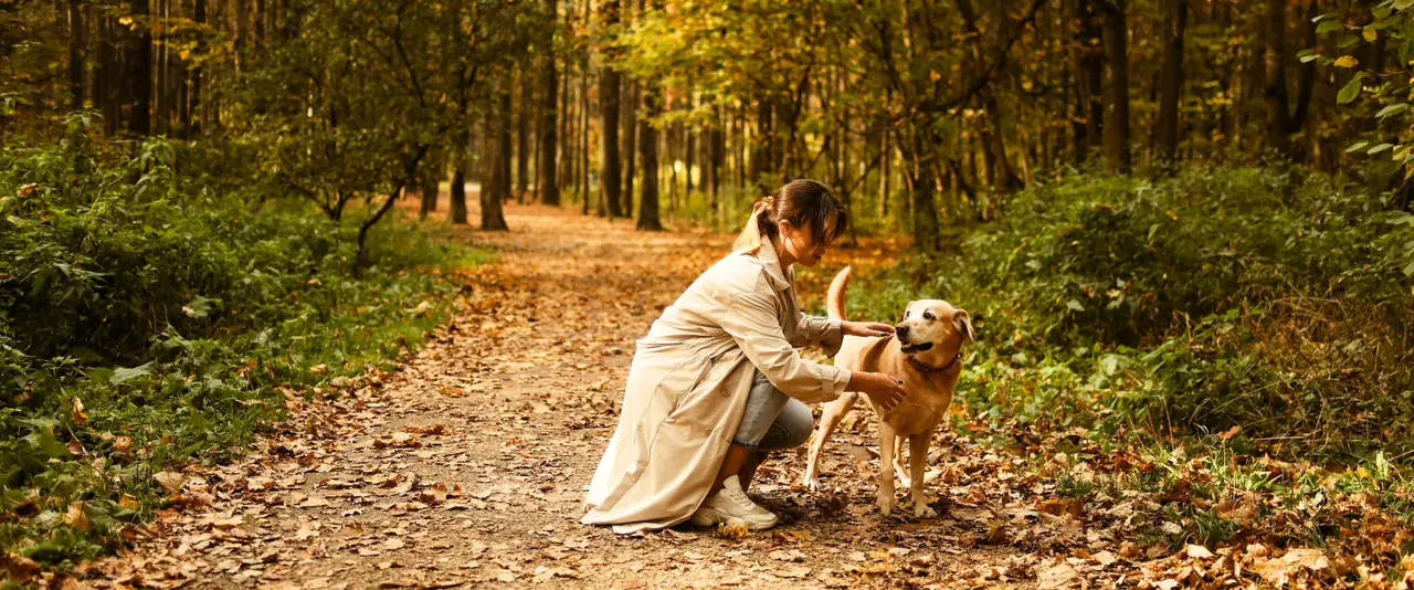 Dierendag: verwen je hond in een vakantiehuis