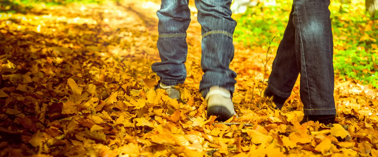 Herfstwandelingen vanuit je vakantiehuis