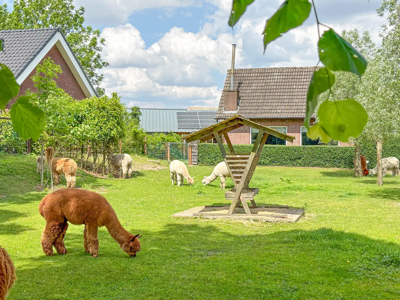 Vakantie vieren in Noord-Brabant - Gewoon keileuk!