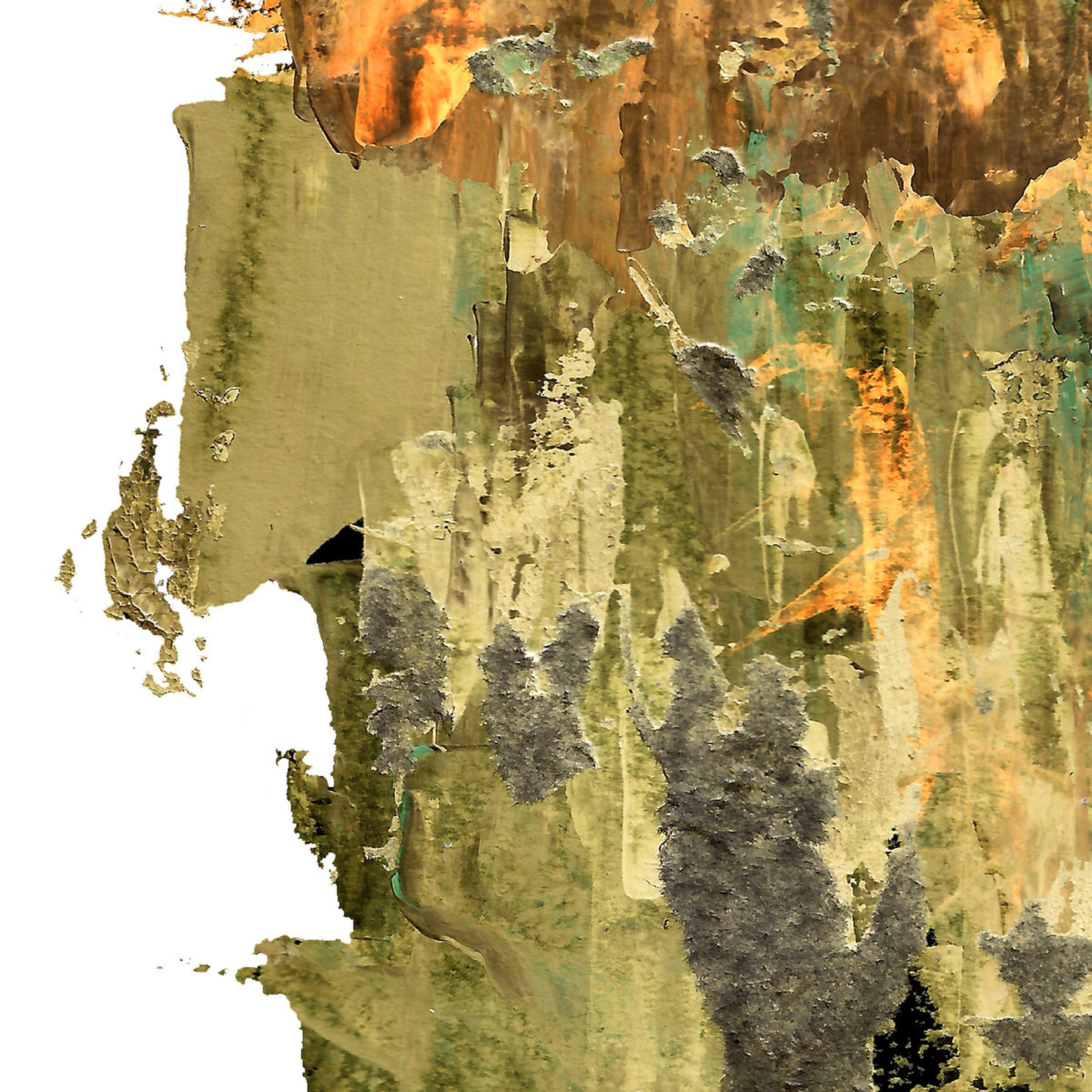 Variações Poses Petros