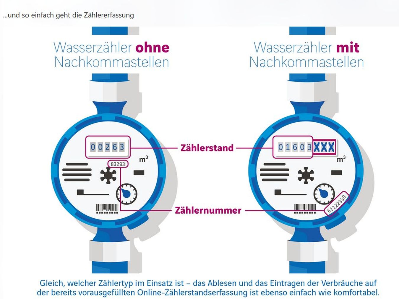Ablesung der privaten Wasserzähler jetzt online
