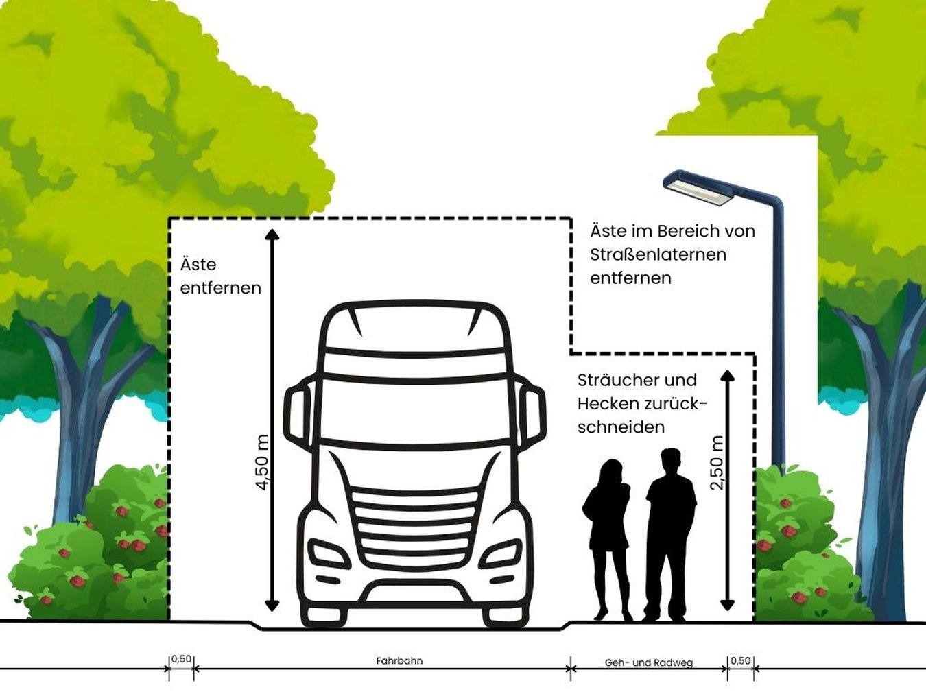 Grafik des Lichtraumprofils für den Rückschnitt von Hecken und Sträuchern