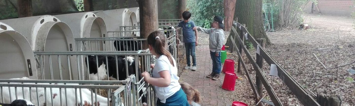 Ferienbetreuung Bauernhof