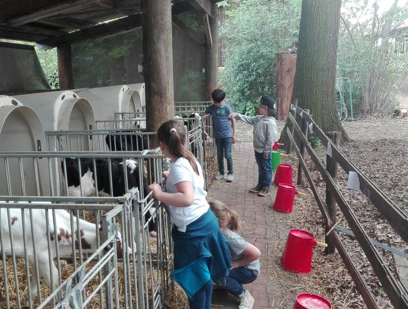 Ferienbetreuung Bauernhof