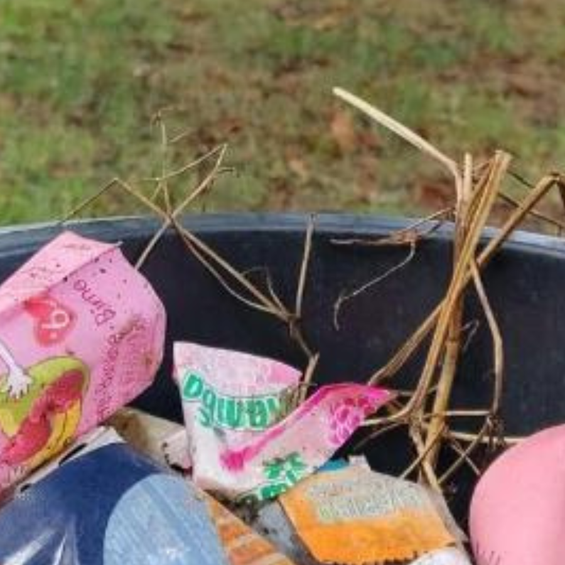 World Clean Up day Zuschnitt
