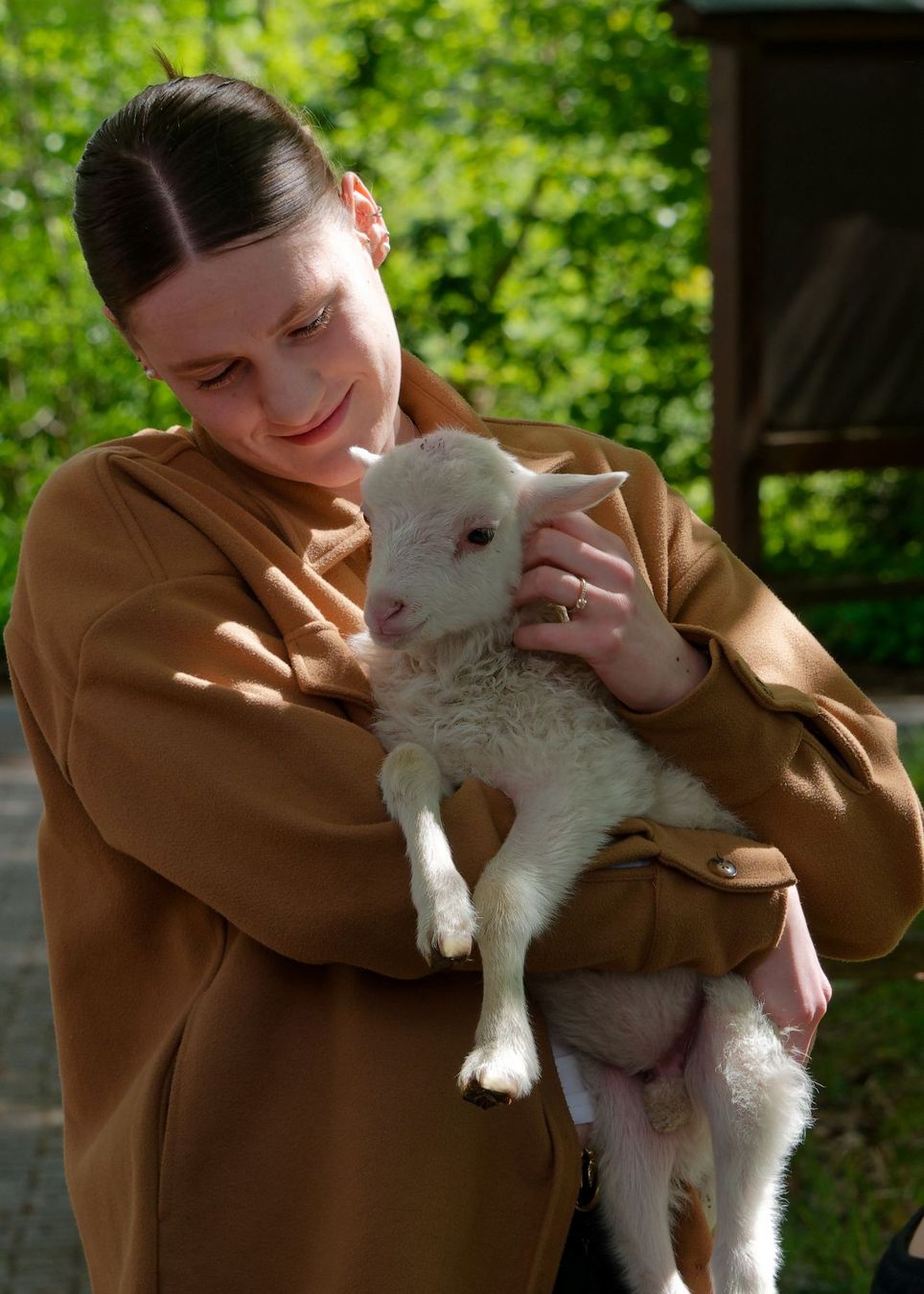 Werbeplakat_Flamingofruhling_2024_CRuckriem_ZAA_1562_klein