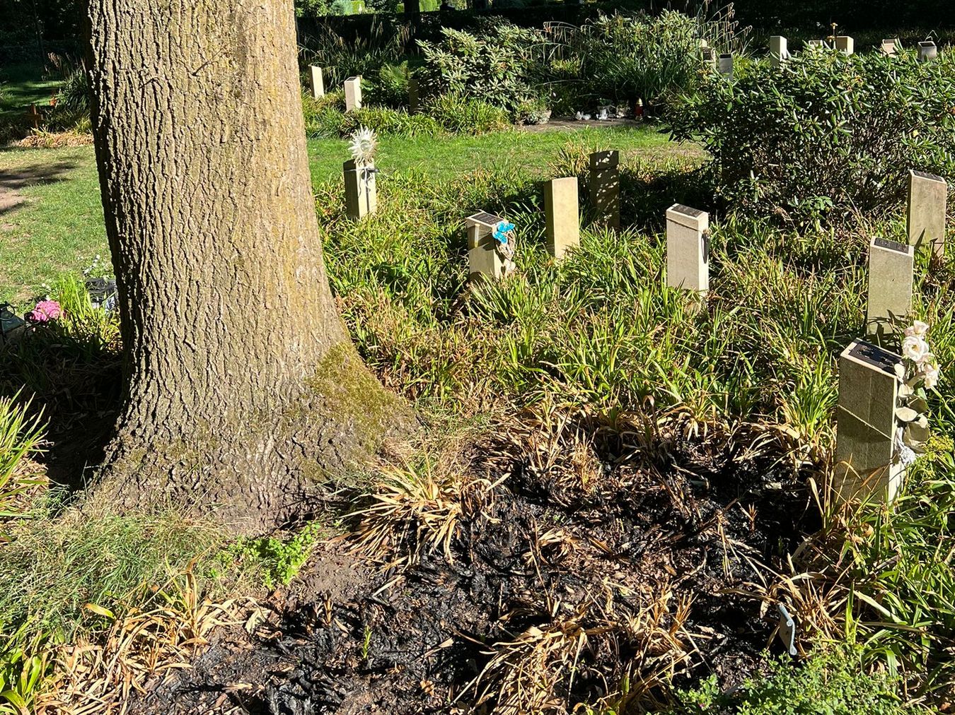 Friedhof Brand