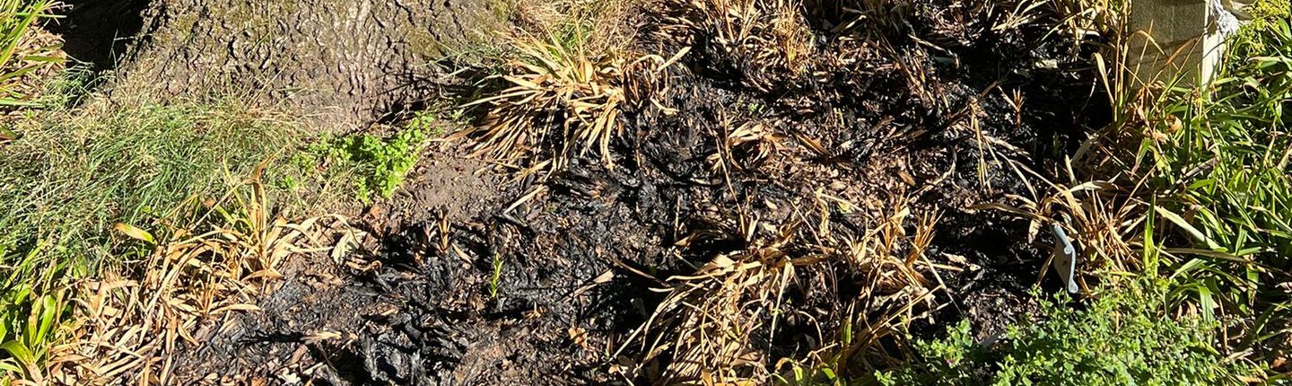 Friedhof Brand