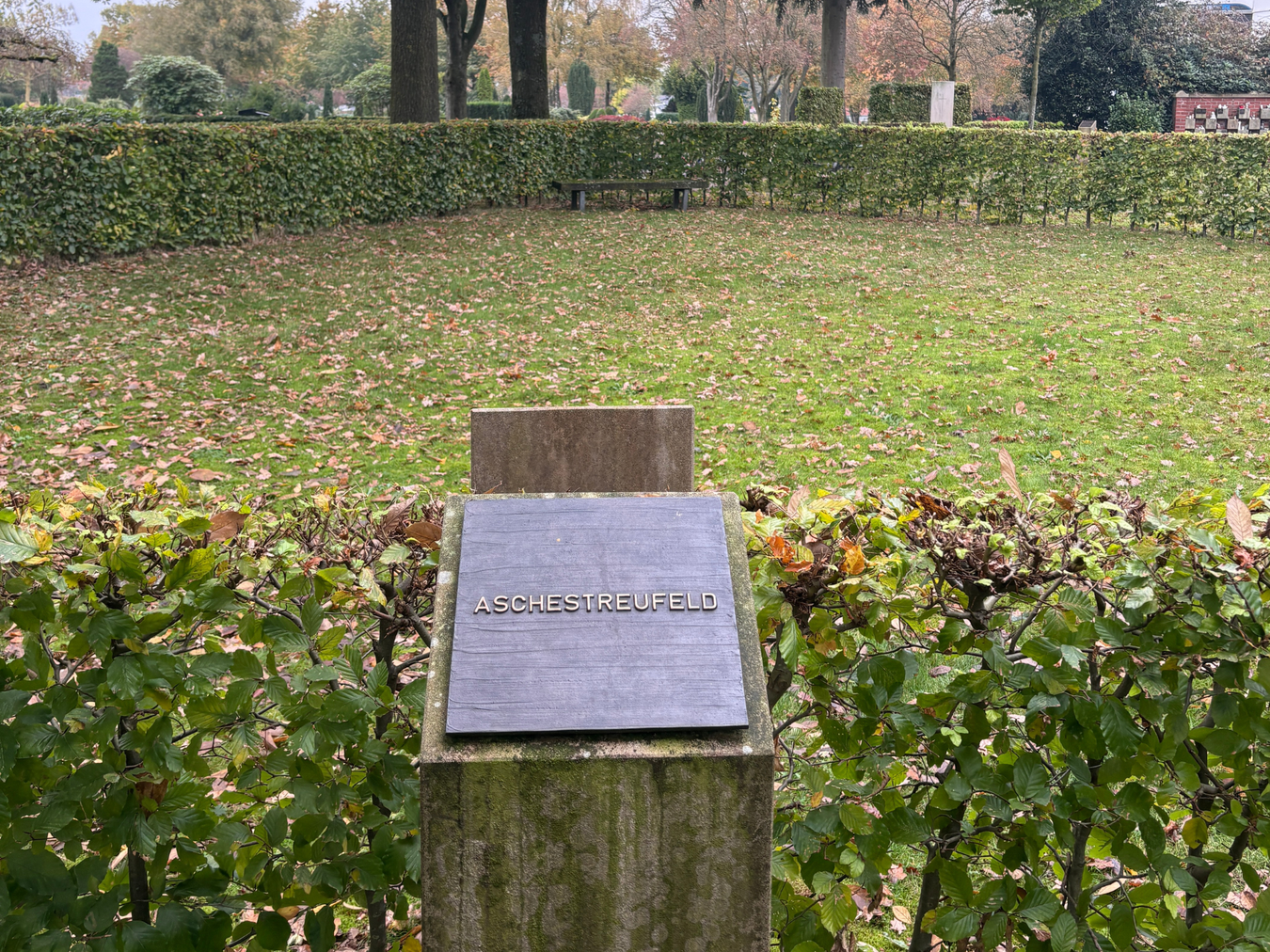 Bild des Aschestreufelds auf dem Vredener Friedhof.