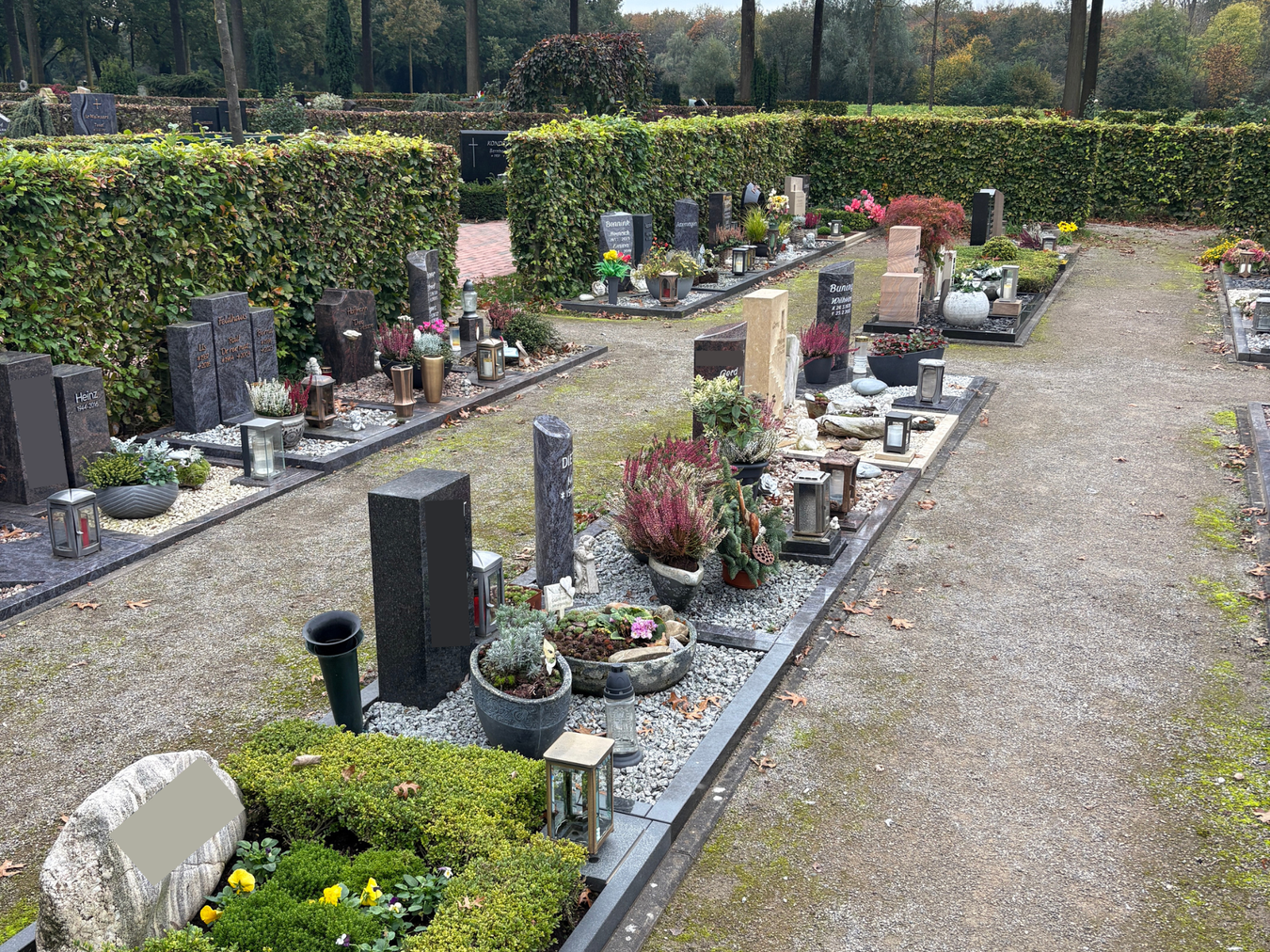Bilder Urnengräber auf dem Vredener Friedhof.