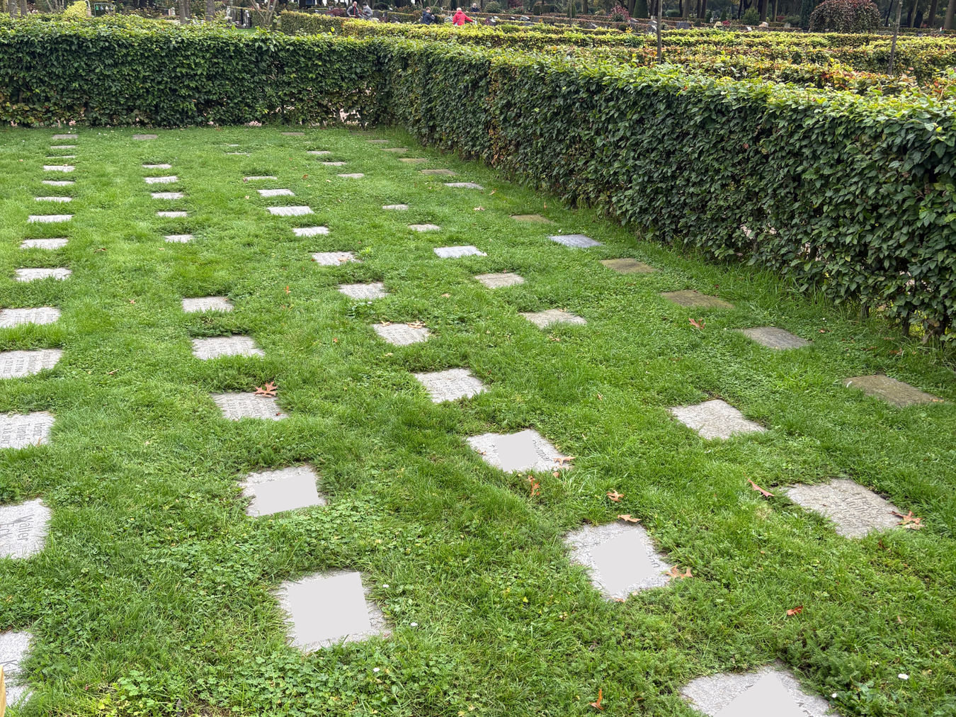 Bilder der Rasengrabstätten auf dem Vredener Friedhof.