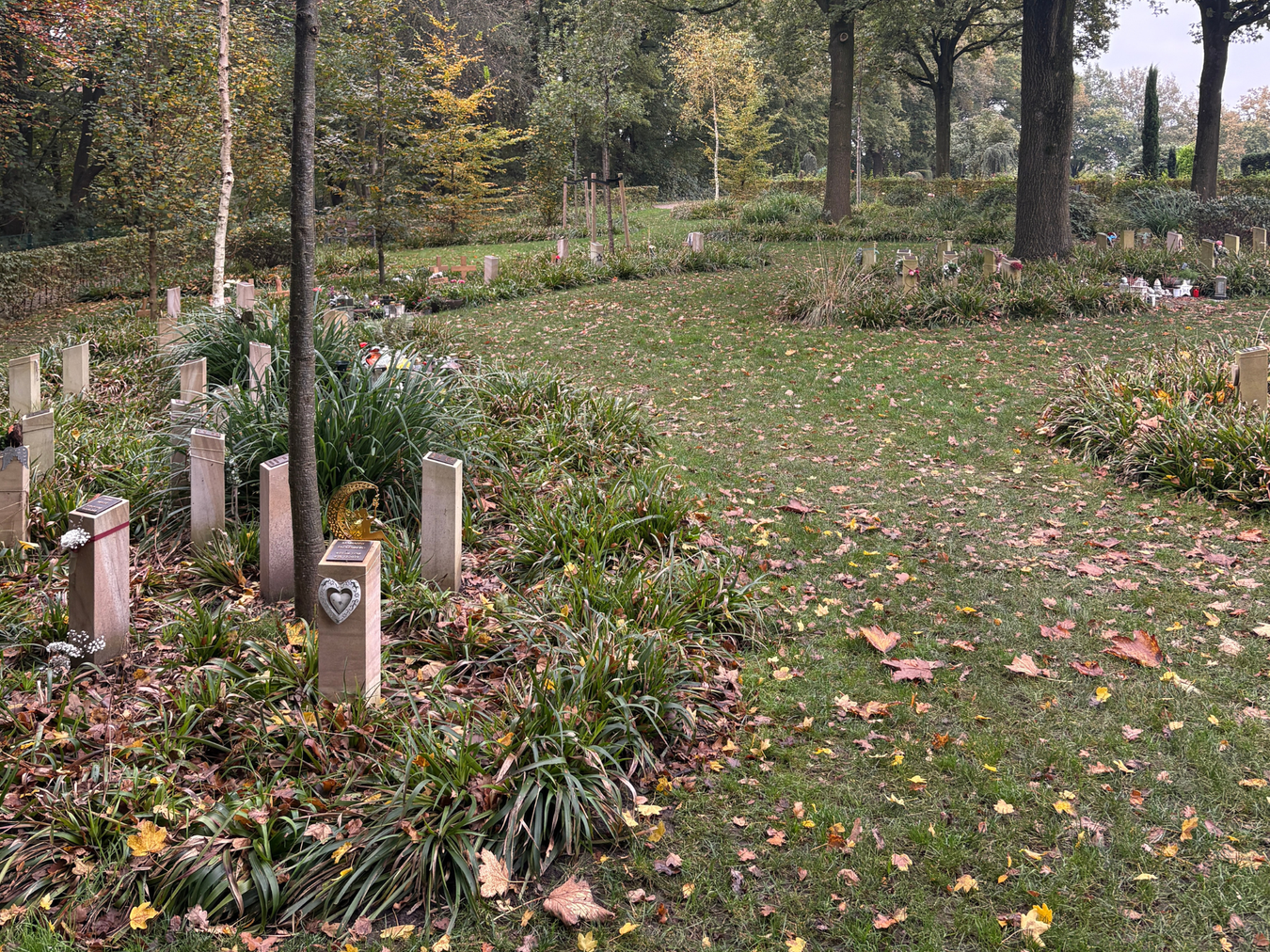 Bild der Baumgrabfelder auf dem Vredener Friedhof