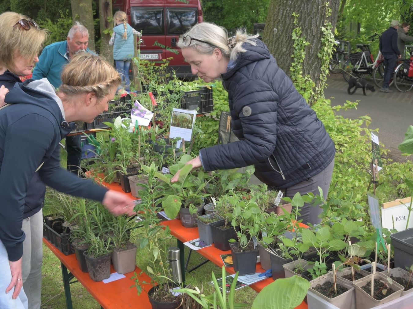 Veranstaltungsbild_Flamingofruhling_2024_CRuckriem_ZAA_1446-min_klein