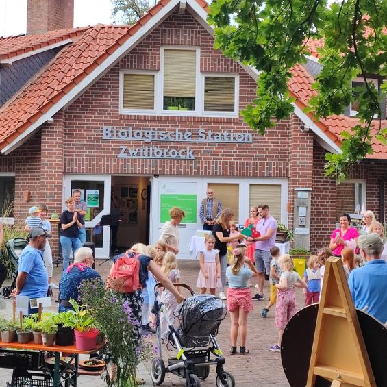 Staudenboerse_Musikschule