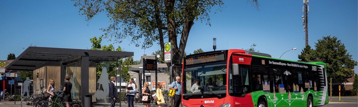BaumwollExpress X80