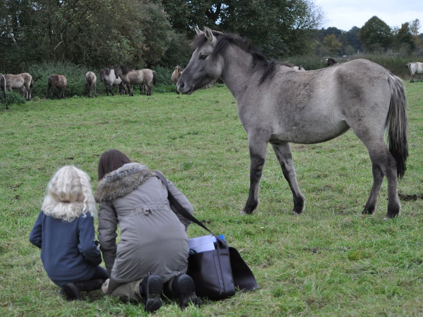 Eine Frau sitzt mit einem Kind vor einem pferd
