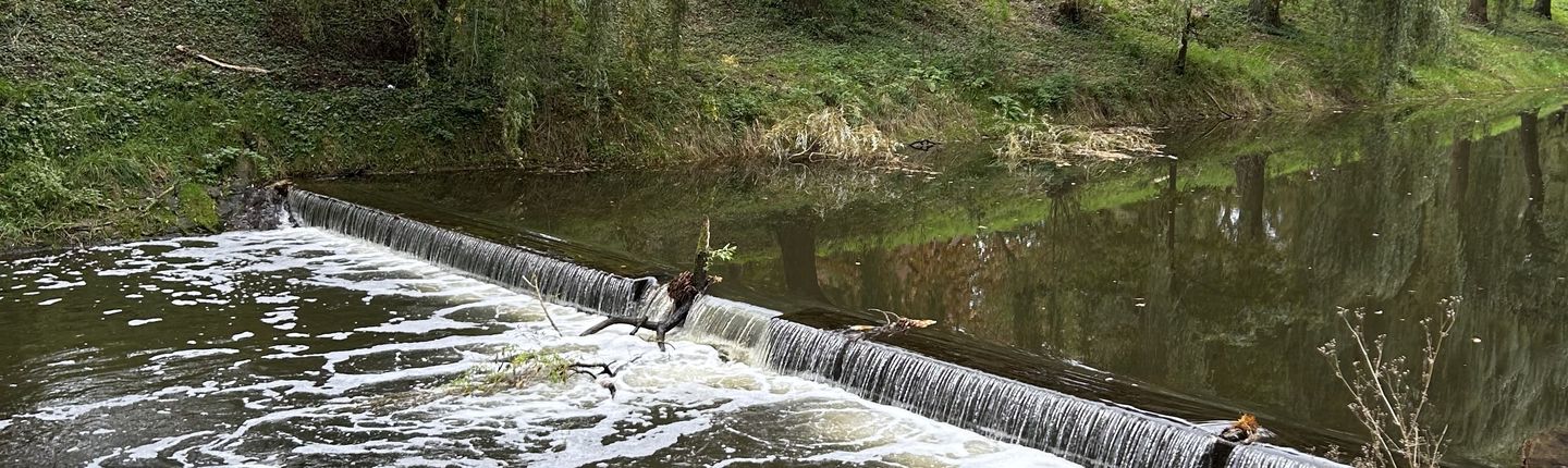 Bild eines Querbauwerks vom Uferrand der Berkel
