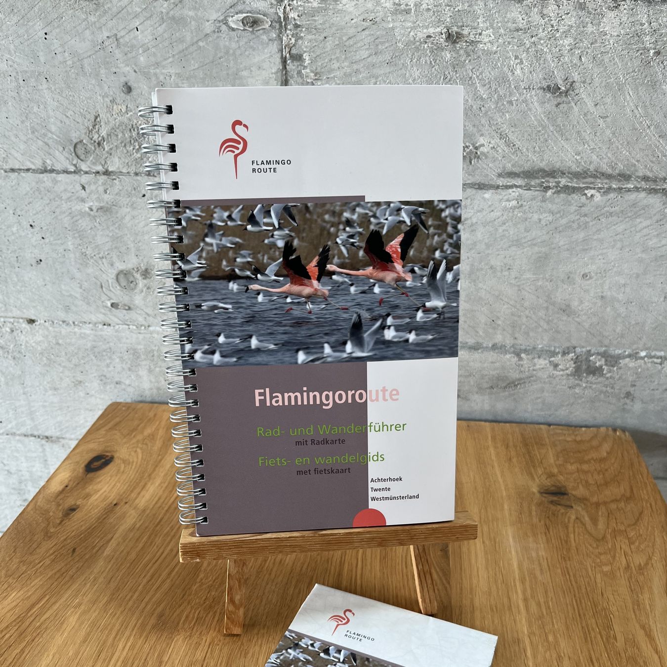 flamingoroute
