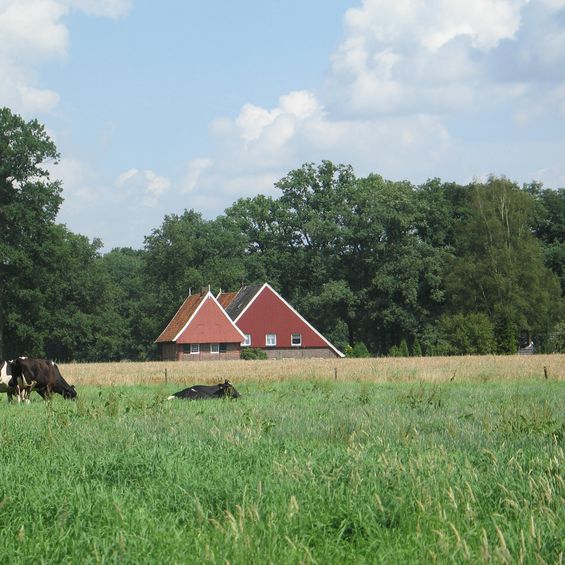 Naturtour im Achterhoek_Kornspeicher_Henxel_L_Elburg