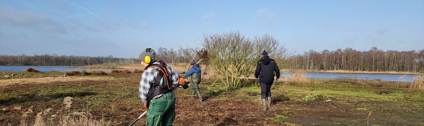 Drei Personen schneiden unter anderem Gräser im Zwillbrocker Venn zurück.
