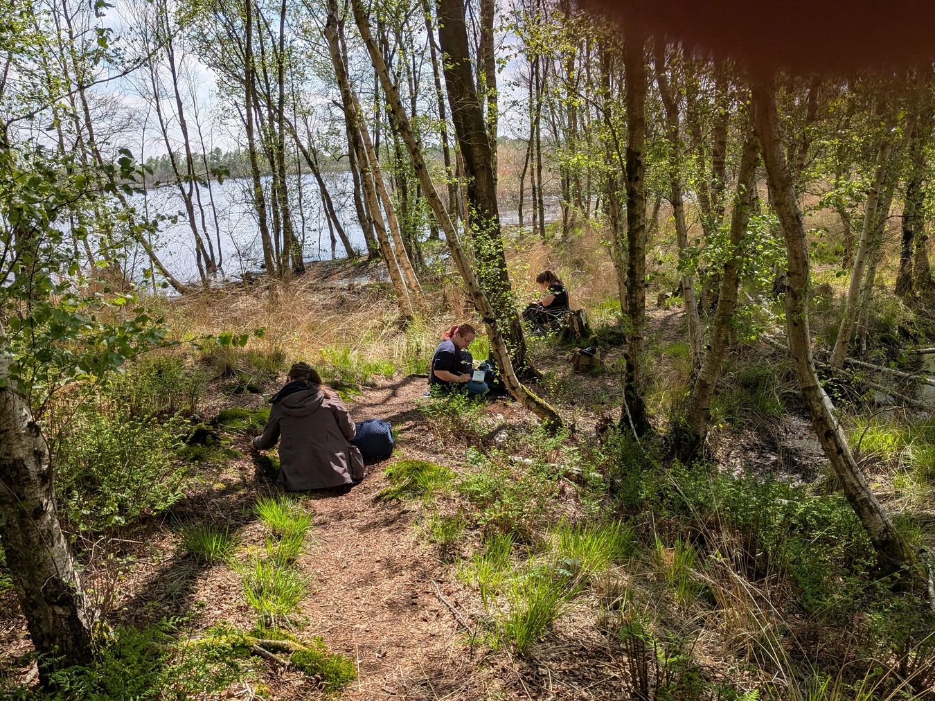 NatureJournaling2025_3_BSZ